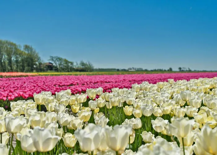 公寓 Prinsenhof # 卑尔根