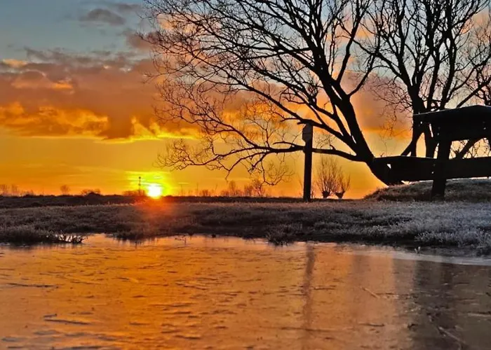 公寓 Prinsenhof # 卑尔根