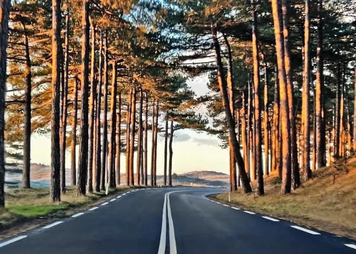 公寓 Prinsenhof # *