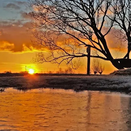 Apartament Prinsenhof # Bergen